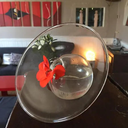 Au Détour Du Larrech Castillon-en-Couserans