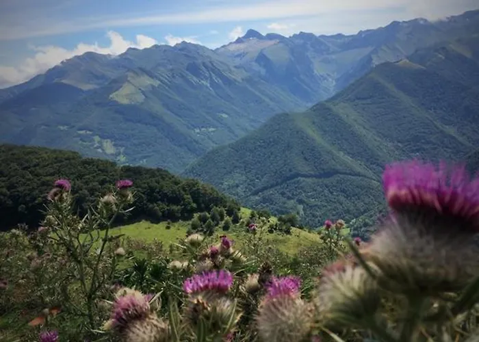Couette-café Au Détour Du Larrech Castillon-en-Couserans